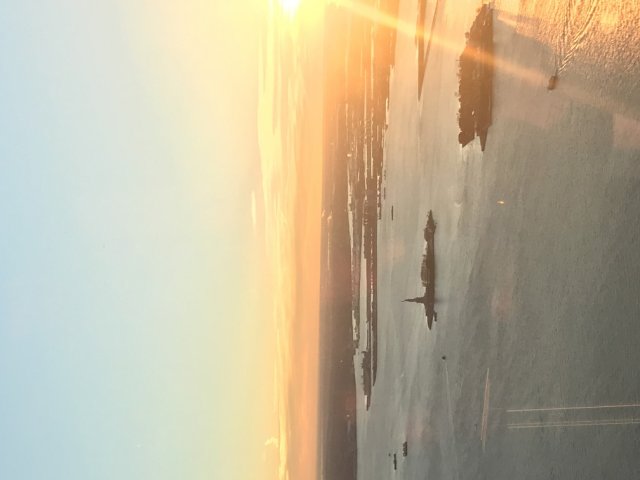 20180118 nyc 5